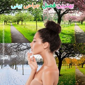 بهترین فصل جراحی بینی
